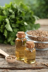 Coriander essential oil in bottles, seeds and cilantro leaves on wooden table, closeup