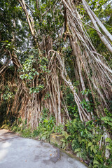 Lugard Rd Hong Kong in China