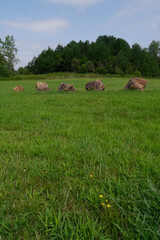 NC Pville Boulders V2 2025