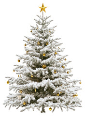 PNG Christmas tree with snow christmas star christmas tree.