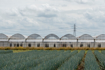 農業用ビニールハウス