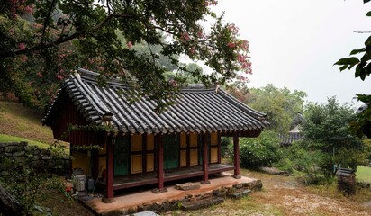 비오는 날의 배롱나무. 담양 고서면 죽림재의 우중의 풍경.