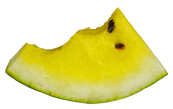 a bitten-off yellow slice of watermelon, highlighted on a transparent background.A bitten-off yellow slice of watermelon. Slice of yellow watermelon bitten twice
