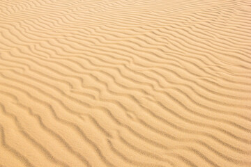 夏の鳥取砂丘とその紋様 鳥取県 鳥取砂丘