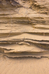 夏の鳥取砂丘とその紋様 鳥取県 鳥取砂丘