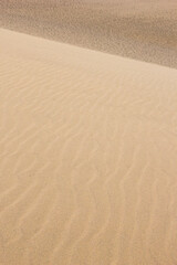 夏の鳥取砂丘とその紋様 鳥取県 鳥取砂丘