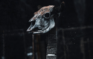 animal skull on a stick