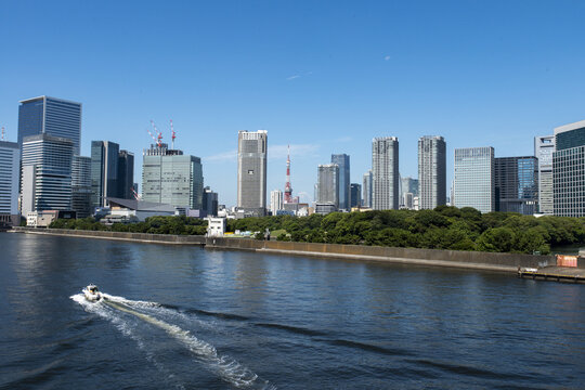 東京の風景、東京タワーとビル群