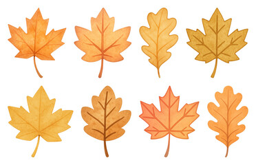 PNG Colorful autumn leaves illustration, element set on transparent background