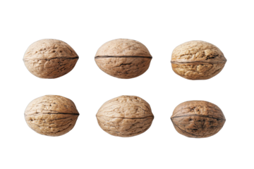 Six whole walnuts, top view, displayed in a grid.  Each nut shows a light brown shell, textured with ridges and lines, and a visible seam