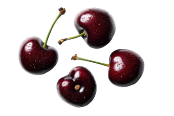 Four dark red cherries, glistening with water droplets, arranged in a loose, symmetrical pattern against a pure black background.  Stems and leaves visible