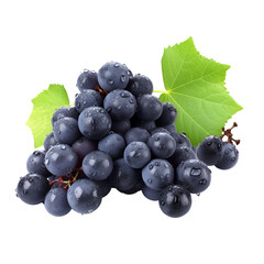 Fototapeta premium Juicy Black Grapes with Green Leaves