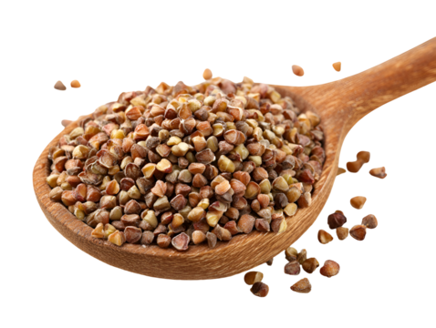 Buckwheat groats in a wooden spoon healthy food