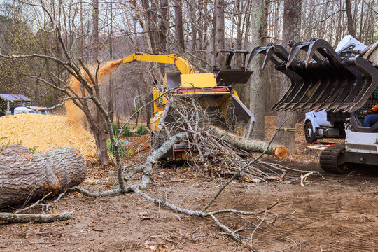 Chipping branches debris in wooded area during early spring with machinery engaged in cleanup - Powered by Adobe