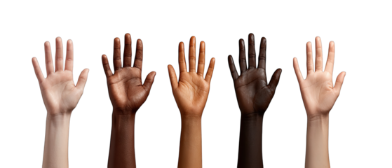 Diverse hands raised in participation