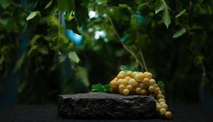 natural stones for the podium