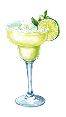 Watercolor Margarita Cocktail Illustration