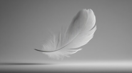 Obraz premium A white feather floats gently above a white surface in soft, muted grayscale lighting