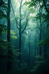Obraz premium Misty forest scene featuring tall dark trees and lush green foliage in a dense atmospheric woodland
