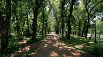 Obraz premium Sun-dappled path through a verdant tree-lined park