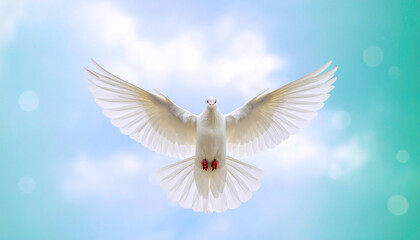 🕊️Dove in the Sky: A pristine white dove, its wings gracefully spread, soars freely against the vast, azure sky, symbolizing peace, hope, and freedom. 