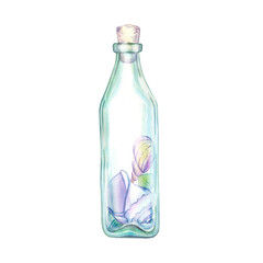 Glass jar with lid, bottle, vessel with treasures, shells, pebbles, sea souvenirs, mollusk, conch, beach decor, ocean shore, pastel colors. Single isolated object. Hand drawn watercolor illustration