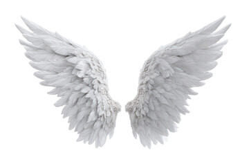 Obraz premium The wings of a white angel are shown in full view. The wings are large and spread out, giving the impression of freedom and grace. Concept of peace and serenity
