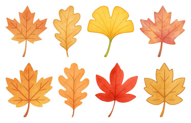 PNG Colorful autumn leaves illustration, element set on transparent background