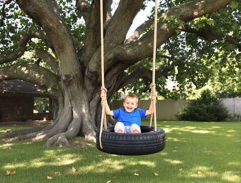 Little Boy Having Fun on a Big Tire Swing Hanging from a Big Old Tree  118