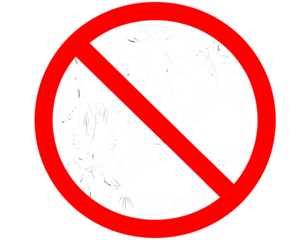 No Pest Control Sign with Insects Inside Red Prohibition Circle, Isolated on Transparent Background PNG
