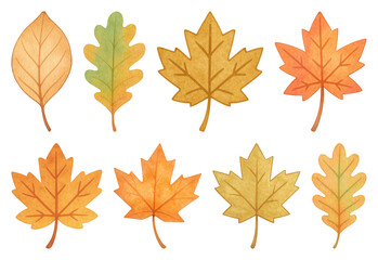 PNG Colorful autumn leaves illustration, element set on transparent background