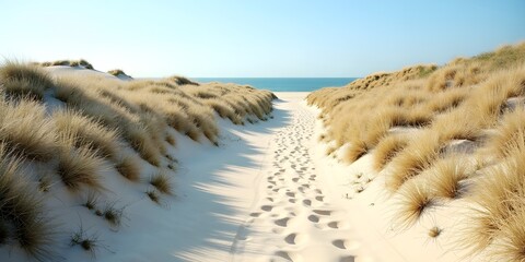 Golden path through sandy dunes leads to serene ocean under clear blue sky