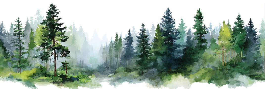 Fototapeta watercolor green pine forest landscape banner