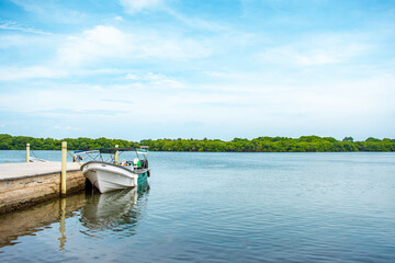 Fototapeta premium A serene view of a boat docked at a pier in Rosario Island, Cartagena, Colombia, surrounded by lush greenery and calm waters.