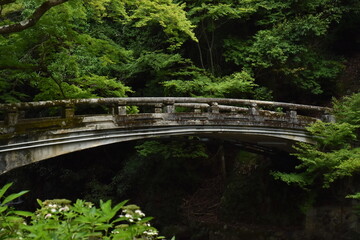 木造の橋