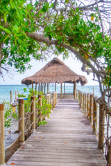 A scenic view of a wooden dock leading to a beach hut surrounded by greenery, with clear blue...