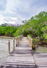 Scenic view of a wooden pier leading into calm waters surrounded by lush greenery in Rosario...