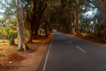 beautiful road