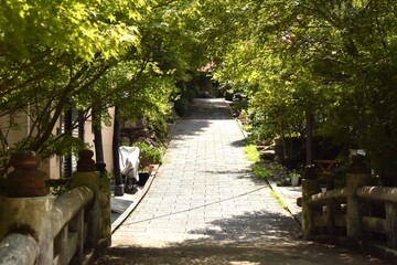 どこかへ続く坂道