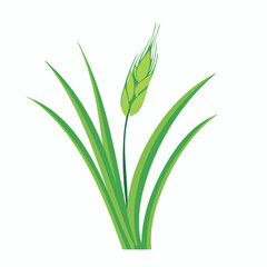 Minimalist green grass vector illustration with a single pointed blade and curved lines