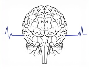 Gehirn - Schwingungen 