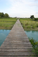 wooden bridge over river
