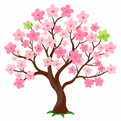 yoshino cherry vector on white