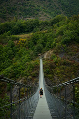 suspension bridge over the river