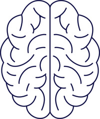 Human Brain Outline Conceptual Illustration
