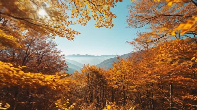 Golden Autumn: Breathtaking Mountain Vista Through Vibrant Fall Foliage