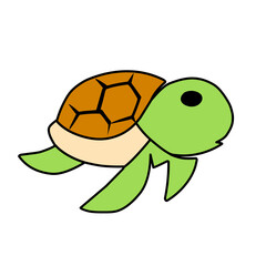 turtle vector icon