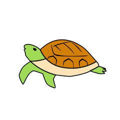 turtle vector icon