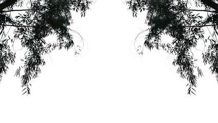 Minimal Nature Frame with Tree Branches on White Background