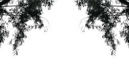 Minimal Nature Frame with Tree Branches on White Background